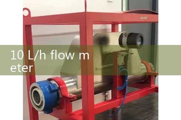 10 L/h flow meter